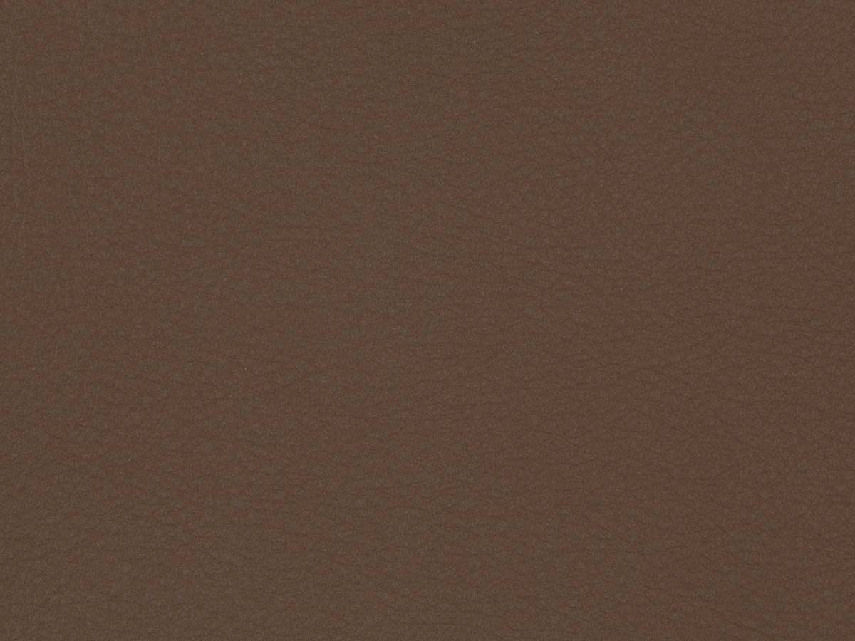 Mocha
